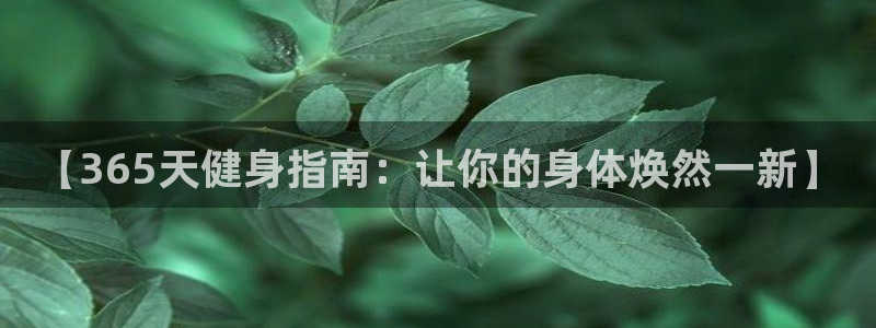 QY球友会官网